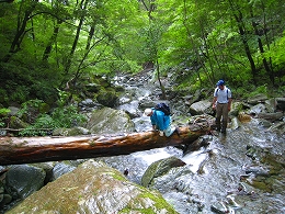 e0002820_20563735.jpg
