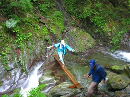 e0002820_2056380.jpg