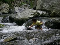 d0071327_15666.jpg