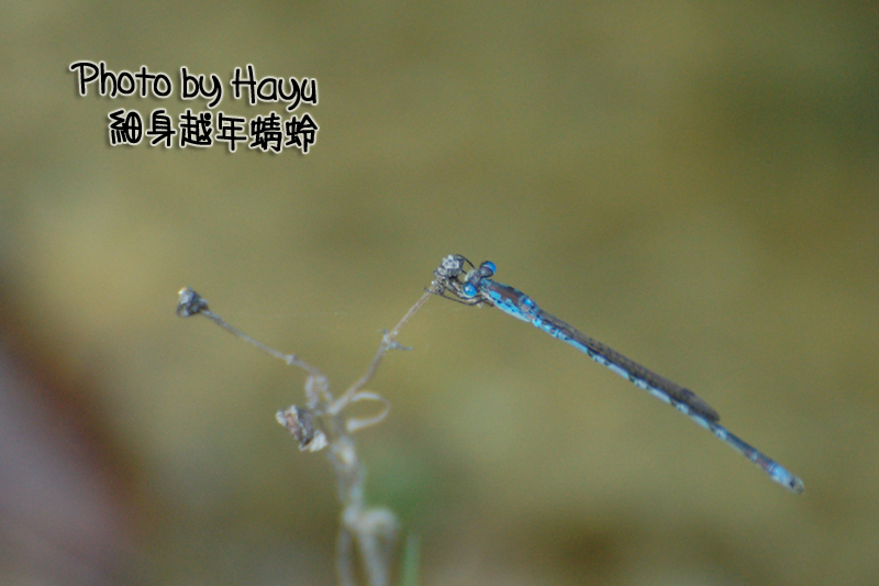 a0059328_1911361.jpg