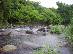 c0090530_1830940.jpg