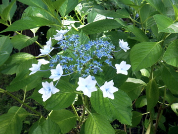f0045433_1484233.jpg