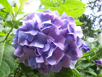 f0045433_15926.jpg