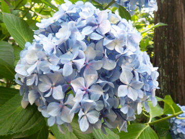 f0045433_21339.jpg