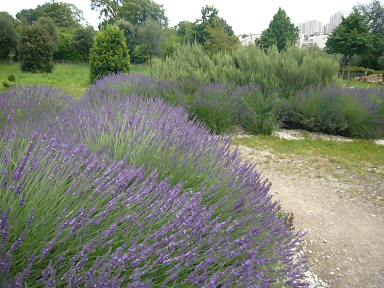 f0031138_6302534.jpg