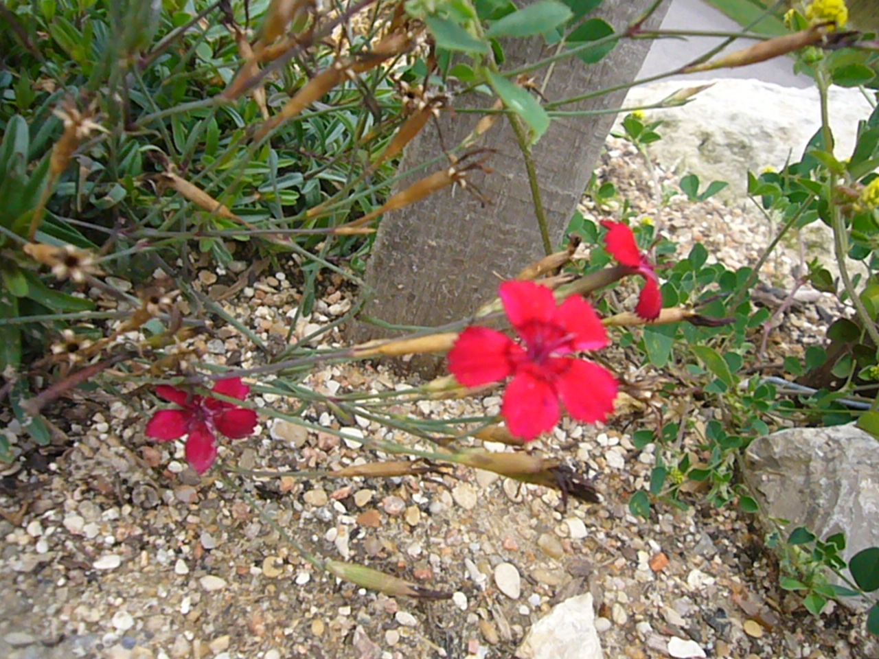 f0031138_7304096.jpg