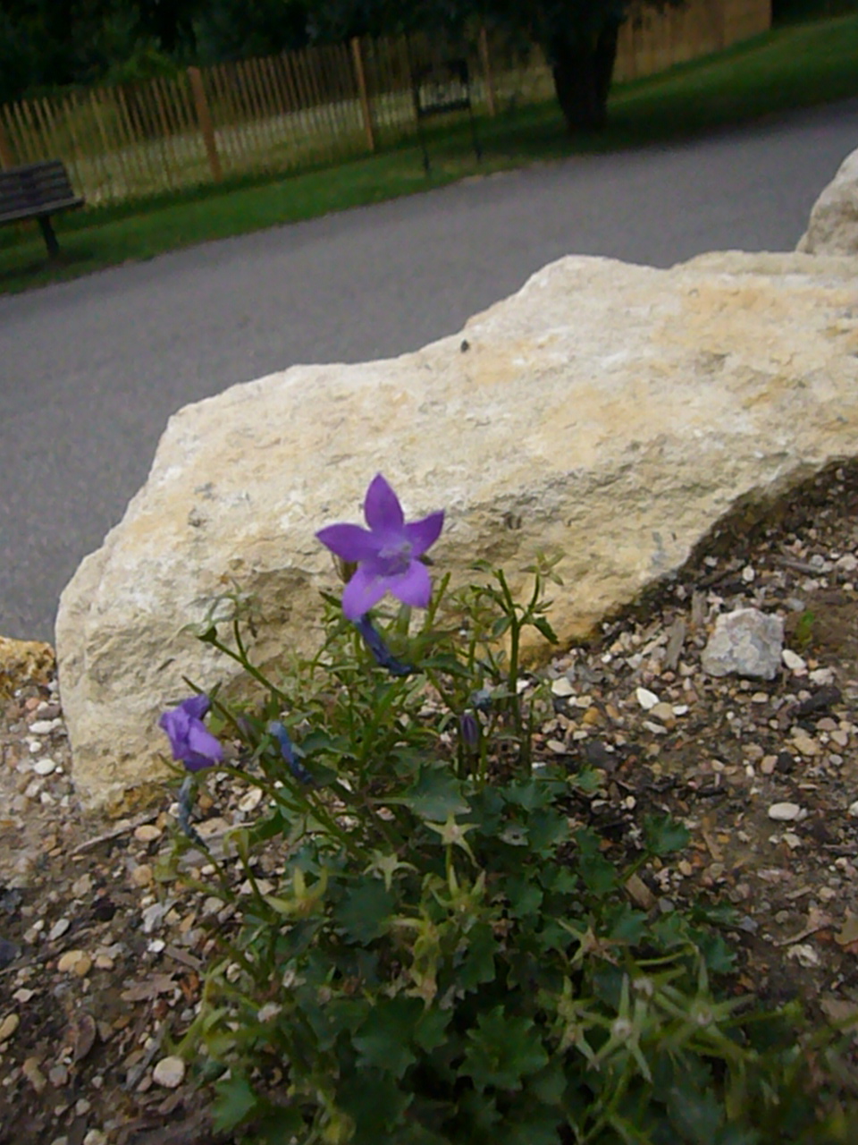 f0031138_7314123.jpg