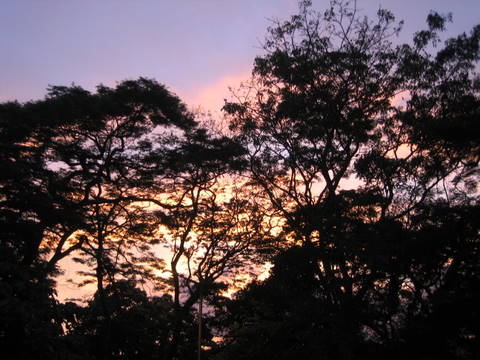 e0018143_23254666.jpg