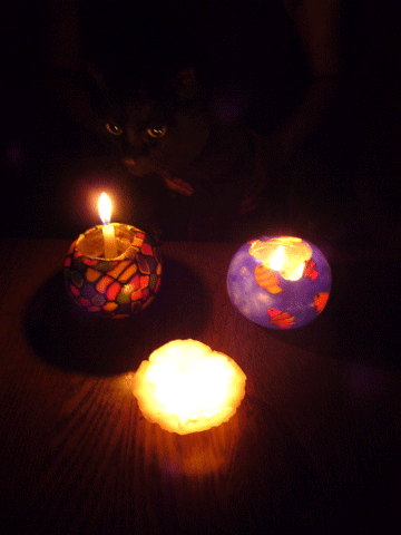 e0058443_011887.gif
