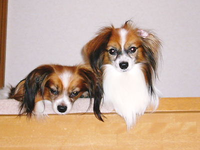 e0100046_15314113.jpg