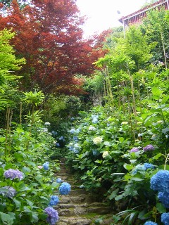 e0110047_18324193.jpg