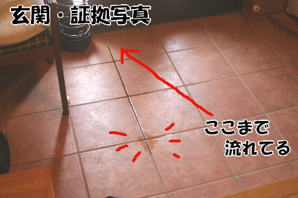 d0013149_1215078.jpg