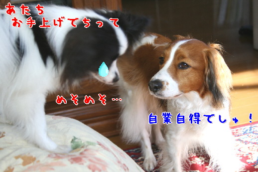 d0013149_1323195.jpg