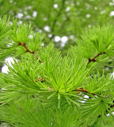 a0001354_20124862.jpg