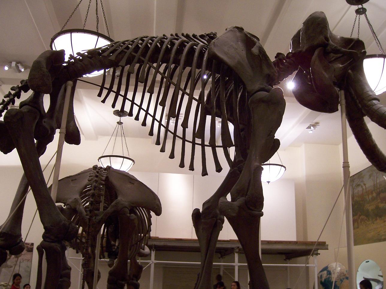 d0095857_1825558.jpg