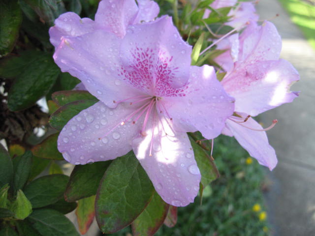 b0080959_12523666.jpg