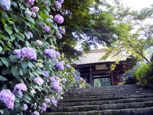 c0119160_20305484.jpg