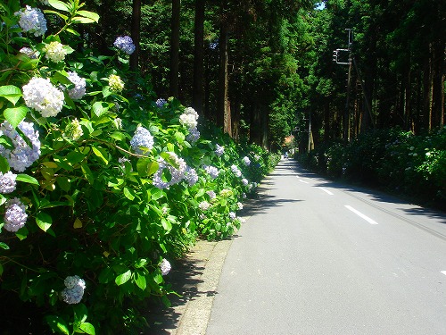 c0119160_20474389.jpg