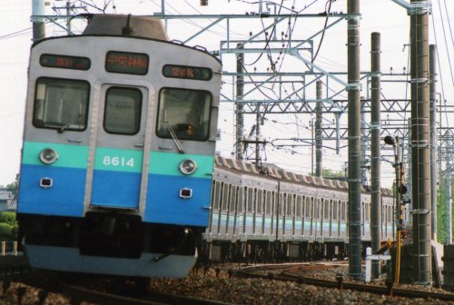 b0046762_20513556.jpg