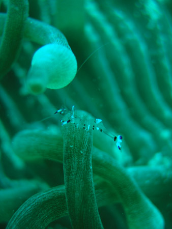 b0062363_21531489.jpg
