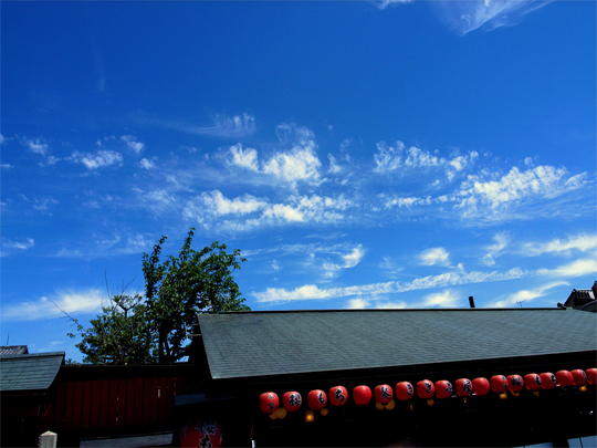 a0046364_20513629.jpg