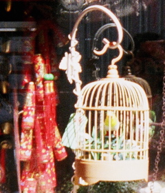 a0018572_22345440.jpg