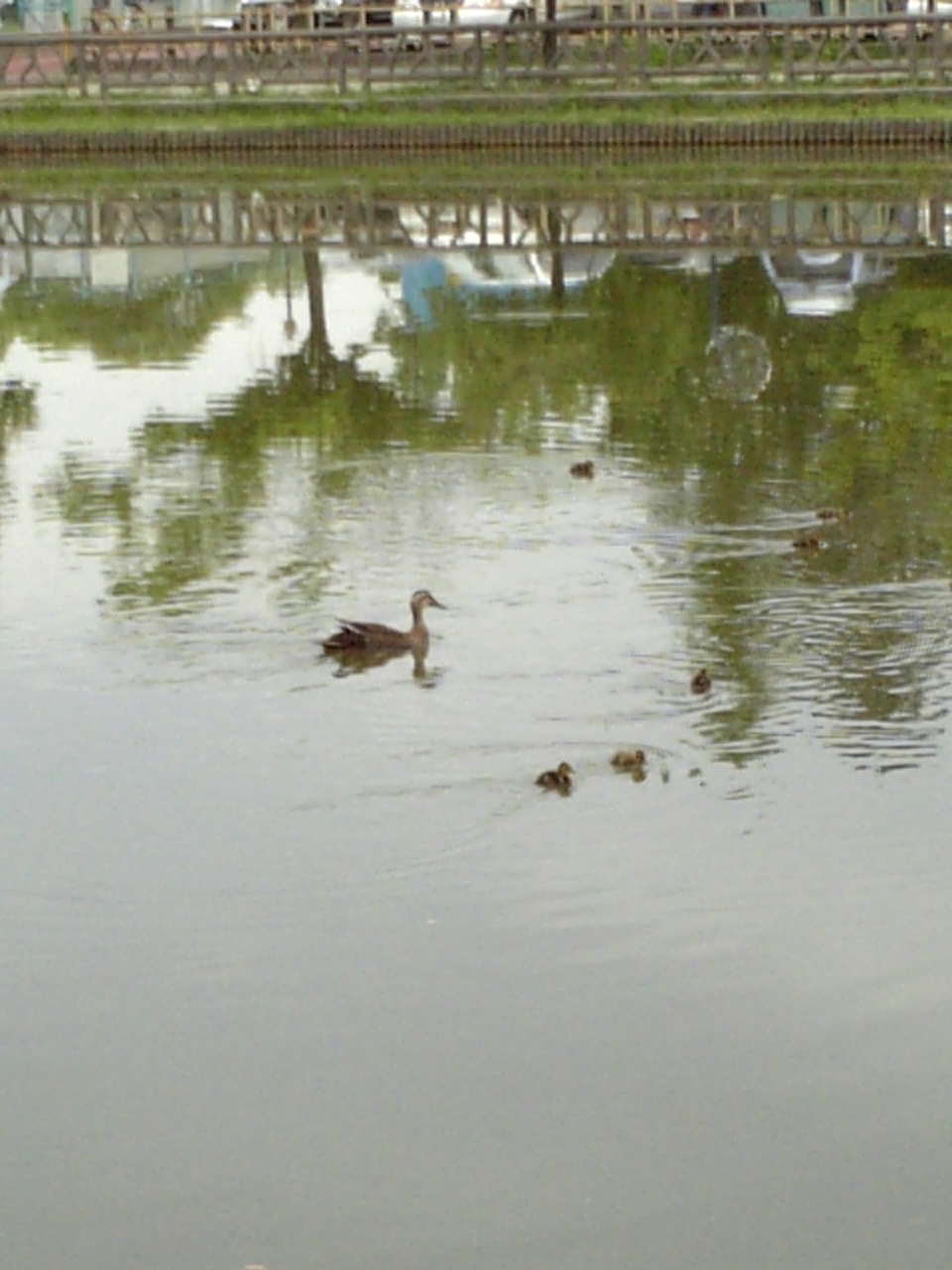 c0124776_87276.jpg