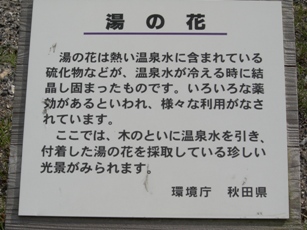 f0116278_17352353.jpg