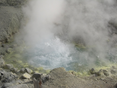 f0116278_17403169.jpg