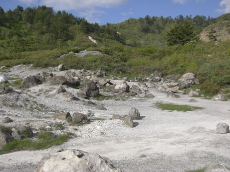 f0116278_1742642.jpg
