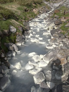 f0116278_18231433.jpg