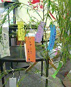 c0066080_0592267.jpg
