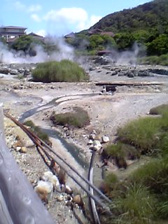 d0049784_22334151.jpg