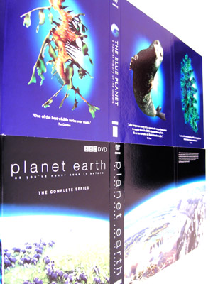 e0032988_23121822.jpg