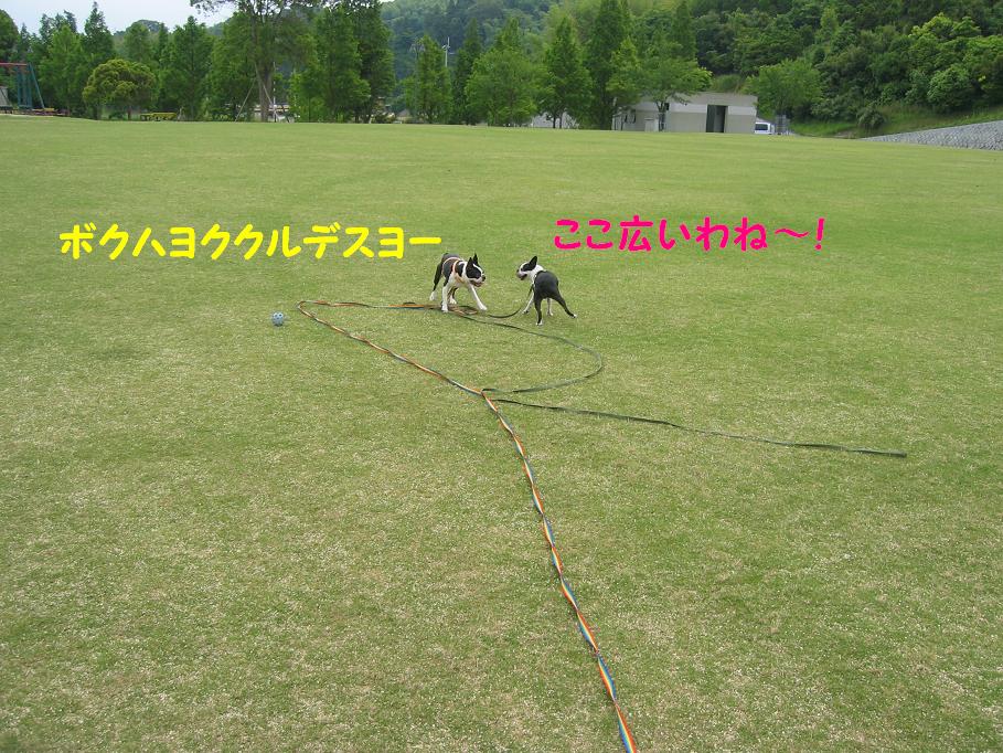 a0080889_0132049.jpg