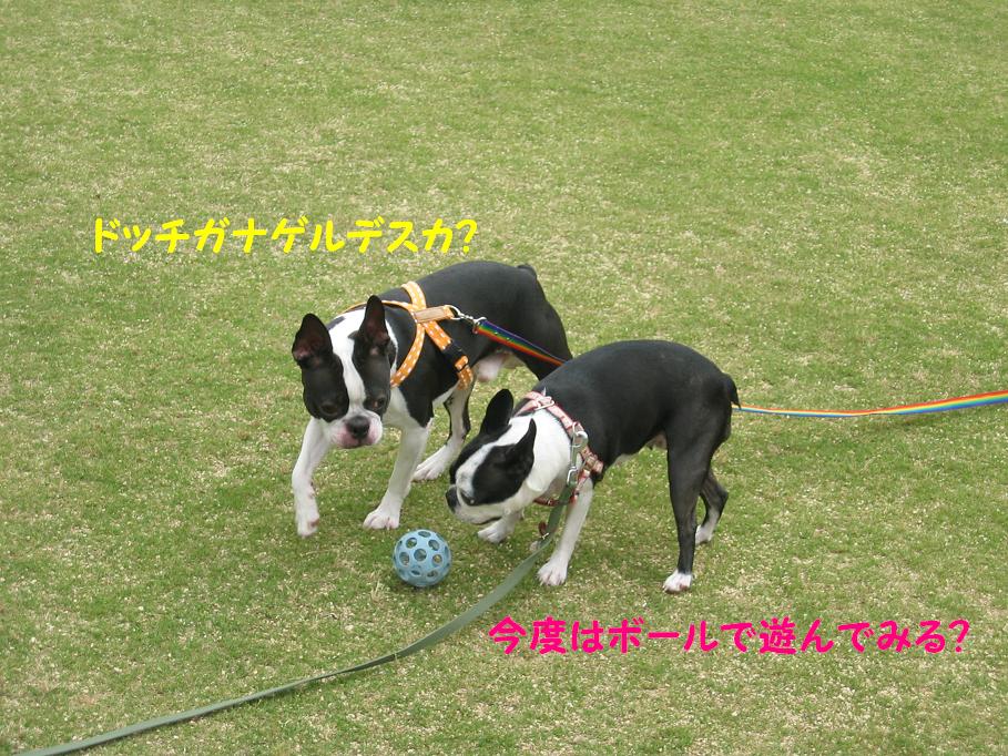 a0080889_0154089.jpg