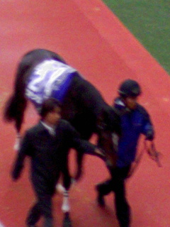 c0076490_21171642.jpg