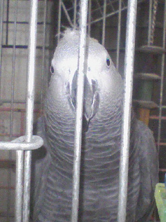 c0076490_21171643.jpg