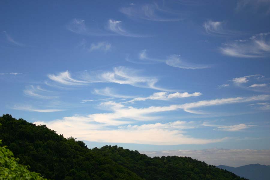 e0108592_20482534.jpg