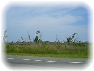 a0060099_6204684.jpg