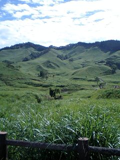 f0001203_11102866.jpg