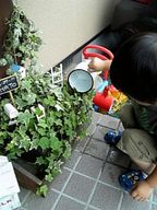 c0084506_1147818.jpg