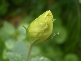 b0061107_237185.jpg