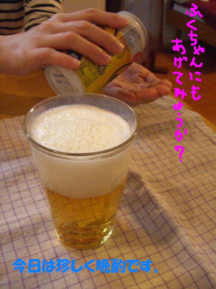 c0113109_219409.jpg