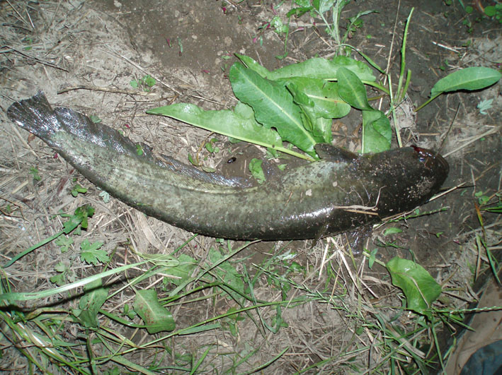 c0006017_8141764.jpg