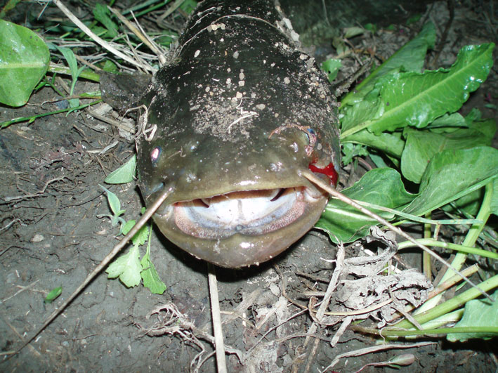 c0006017_8142896.jpg