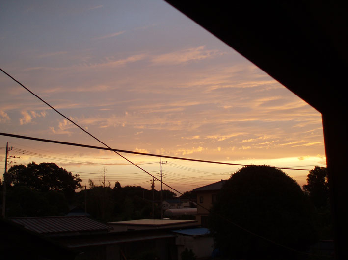 c0006017_8144042.jpg