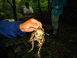 e0002820_6475938.jpg