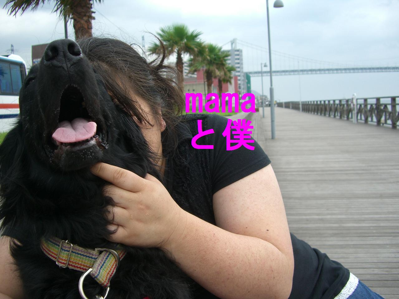 a0068231_15342147.jpg