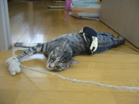 c0125532_22193877.jpg